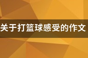 篮球训练心得300字左右作文